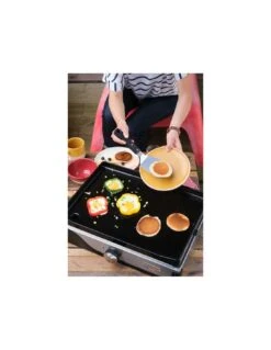 LA PETITE PLANCHA FRANCAISE ELECTRIQUE 150 11 LA PETITE PLANCHA FRANCAISE ELECTRIQUE 150 -Barbecue Grillades Magasin la petite plancha francaise electrique 150 3