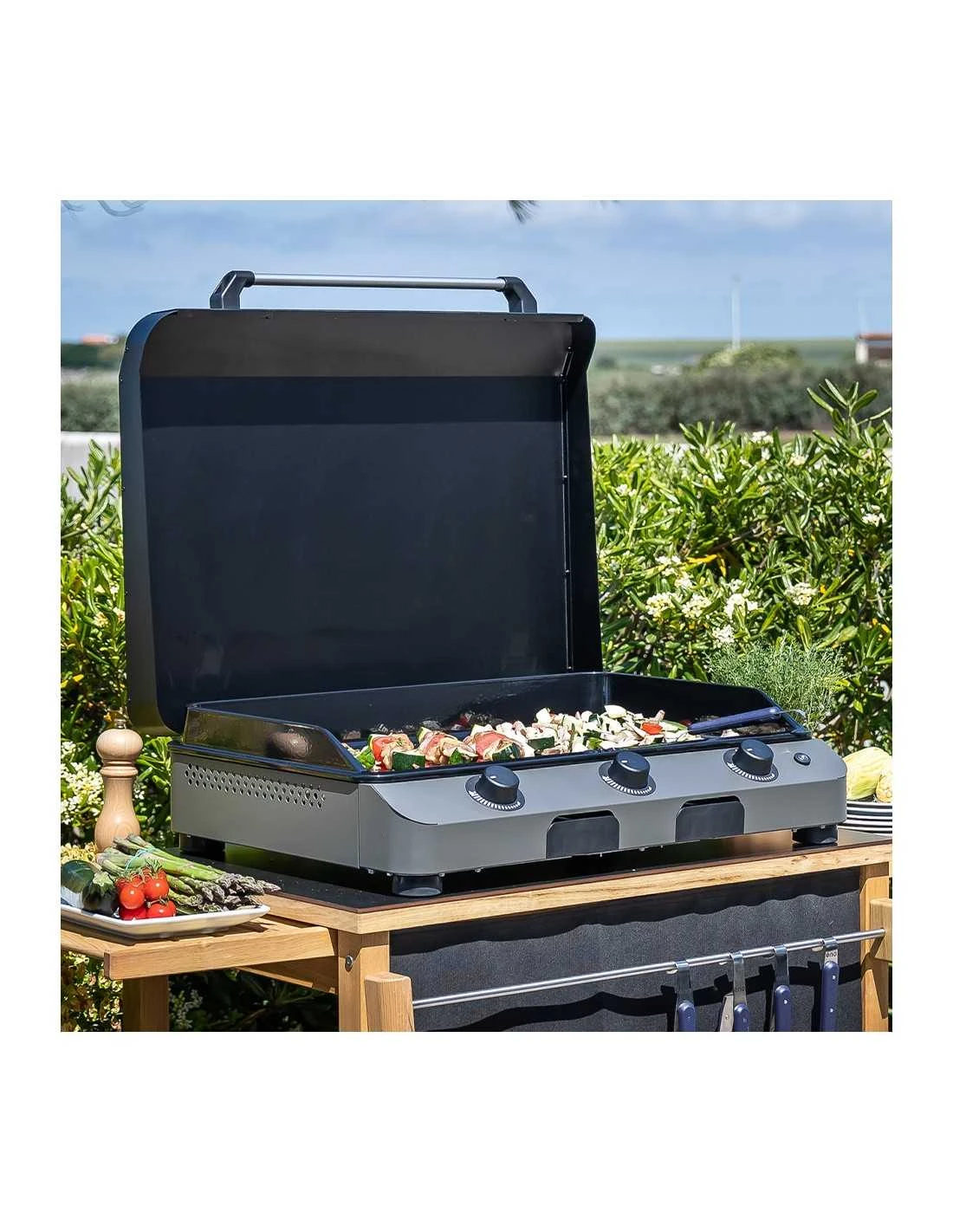 PLANCHA GAZ FUSION 75 GRIS CARGO - ENO 7 PLANCHA GAZ FUSION 75 GRIS CARGO - ENO – Image 5