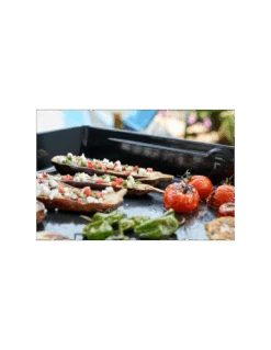 PLANCHA MODERN ELECTRIQUE 60 NOIRE - FORGE ADOUR 6 PLANCHA MODERN ELECTRIQUE 60 NOIRE - FORGE ADOUR -Barbecue Grillades Magasin plancha modern electrique 60 noire forge adour 1